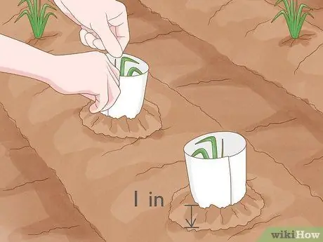 Защитите свой сад от насекомых Шаг 4