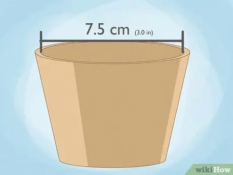 Выращивание кустовых помидоров, шаг 2