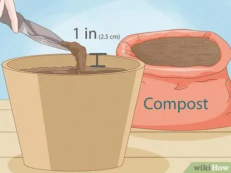 Выращивание кустовых помидоров, шаг 3