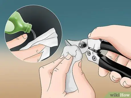 Обрезка паука, шаг 1