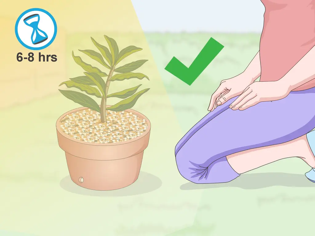 Как обрезать плюмерию (с иллюстрациями)