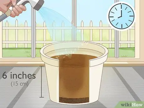 Разделите и пересадите лилии Шаг 17