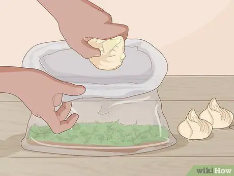 Разделите и пересадите лилии Шаг 6