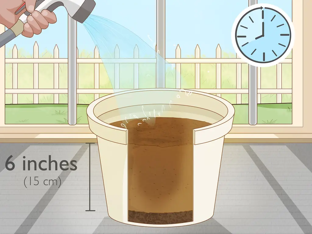 3 способа деления и пересадки лилий