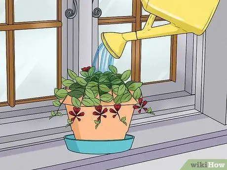 Уход за помадой Шаг 4