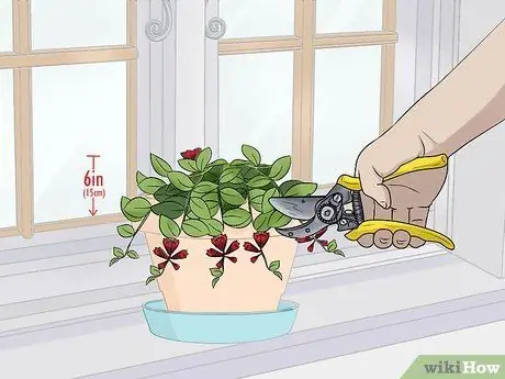 Уход за помадой Шаг 6