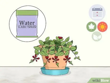 Уход за помадой Шаг 7