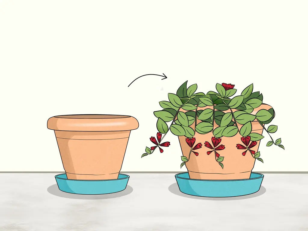 Как ухаживать за помадой: 9 шагов (с иллюстрациями)