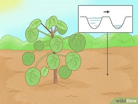 Позаботьтесь о китайском денежном заводе Шаг 10