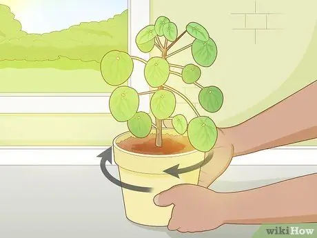 Позаботьтесь о китайском денежном заводе Шаг 3