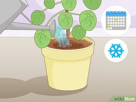 Позаботьтесь о китайском денежном заводе Шаг 5