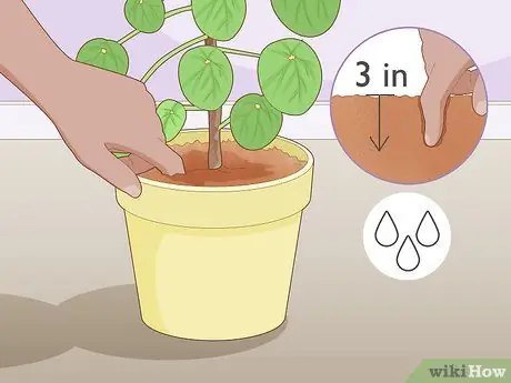 Позаботьтесь о китайском денежном заводе Шаг 6