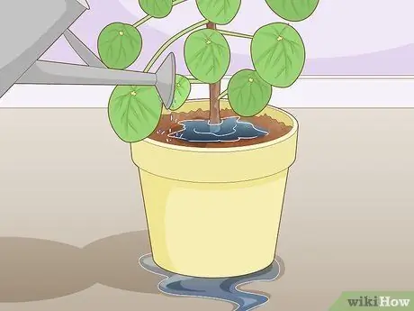 Позаботьтесь о китайском денежном заводе Шаг 7