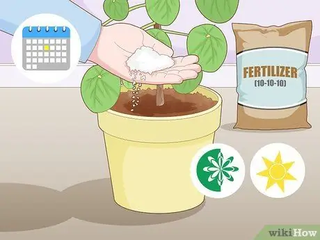 Позаботьтесь о китайском денежном заводе Шаг 8