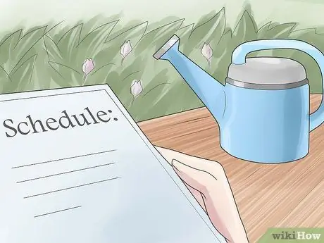 Выращиваем тюльпаны Шаг 10