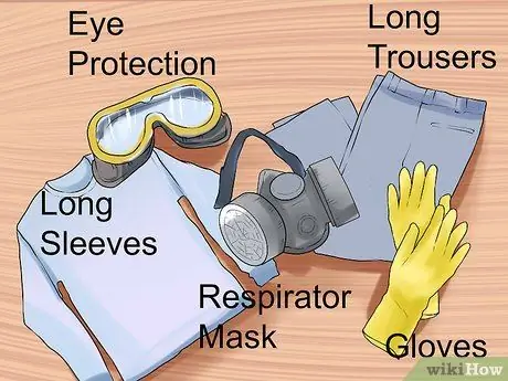 Выращивание тюльпанов Шаг 2