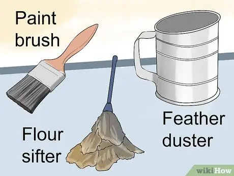 Выращивание тюльпанов Шаг 3