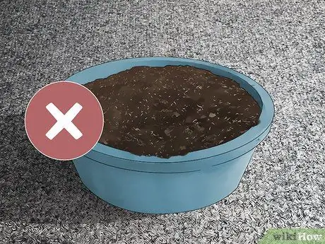 Как предотвратить повреждение ковра комнатными растениями Шаг 3
