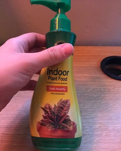 Как вырастить плющ в горшке: 10 шагов (с иллюстрациями)