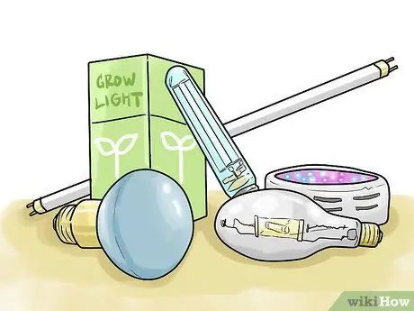 Выращивайте овощи с помощью ламп для выращивания, шаг 1