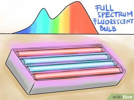 Выращивайте овощи с помощью ламп для выращивания, шаг 6