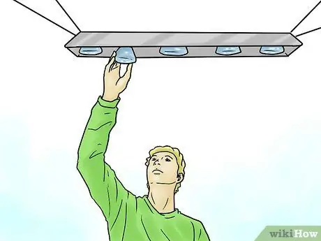 Выращивайте овощи с помощью ламп для выращивания Шаг 8