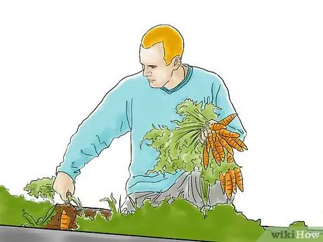 Выращивайте овощи с помощью ламп для выращивания Шаг 9