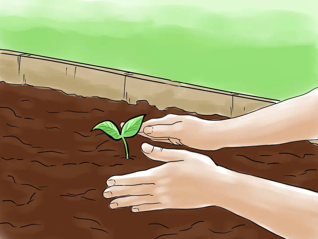 Как выращивать овощи с помощью светильников Grow Lights: 10 шагов (с иллюстрациями)