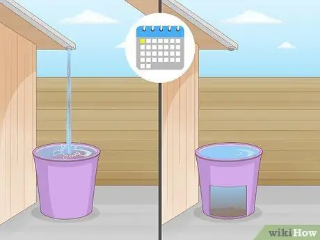 Полив бромелиевых растений Шаг 1