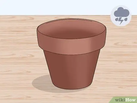 Уход за бромелиями в помещении Шаг 1