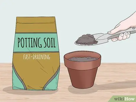 Уход за бромелиями в помещении Шаг 3