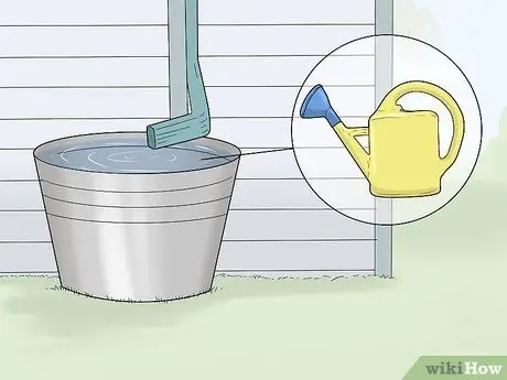 Уход за бромелиями в помещении Шаг 6