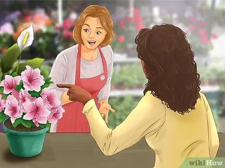 Выберите цветущие комнатные растения Шаг 13