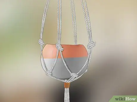 Украсить воздушными растениями Шаг 7