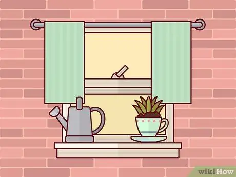 Украсить комнатными растениями Шаг 12