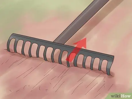 Выращивание цветов из семян Шаг 9