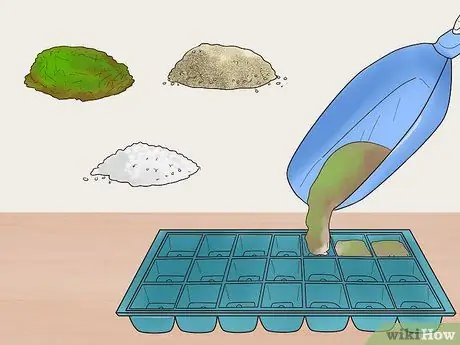 Выращивайте цветы из семян, шаг 2