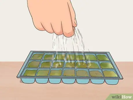 Выращивание цветов из семян Шаг 4