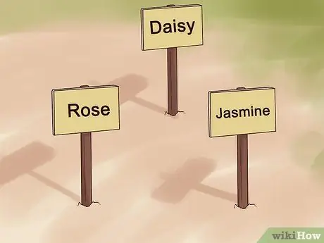 Выращивание цветов из семян Шаг 11