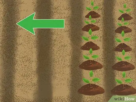 Замените газон грунтовочными покрытиями Шаг 11