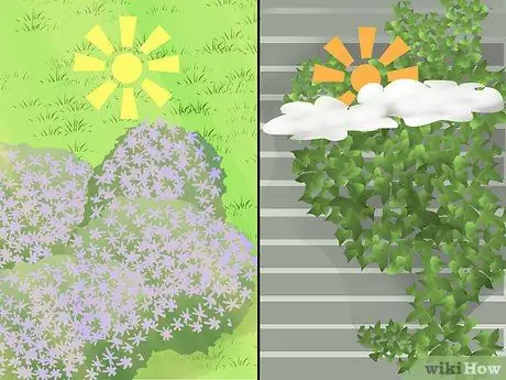 Замените лужайку грунтовочными покрытиями Шаг 2