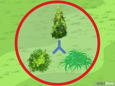 Замените лужайку грунтовкой Шаг 3