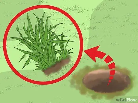 Замените газон грунтовочными покрытиями Шаг 5