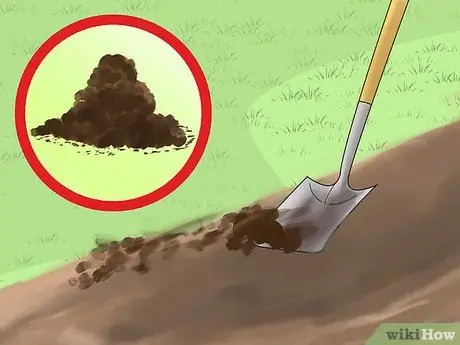 Замените лужайку грунтовочными покрытиями Шаг 7