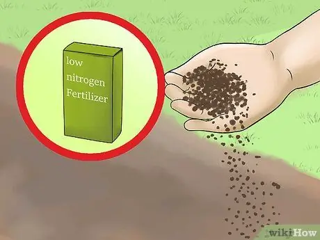 Замените газон грунтовочными покрытиями Шаг 8