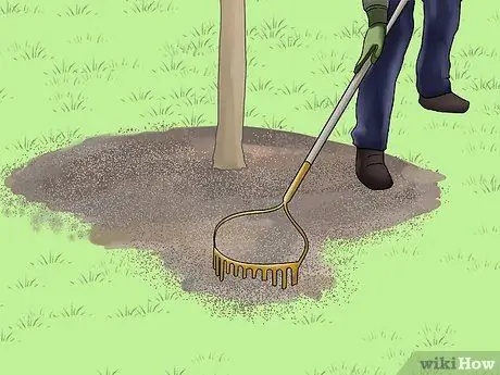 Замените лужайку грунтовочными покрытиями Шаг 9