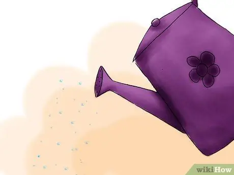 Растение пираканта Шаг 11