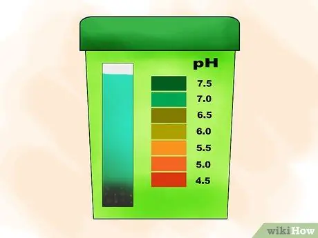 Растение Пираканта Шаг 04