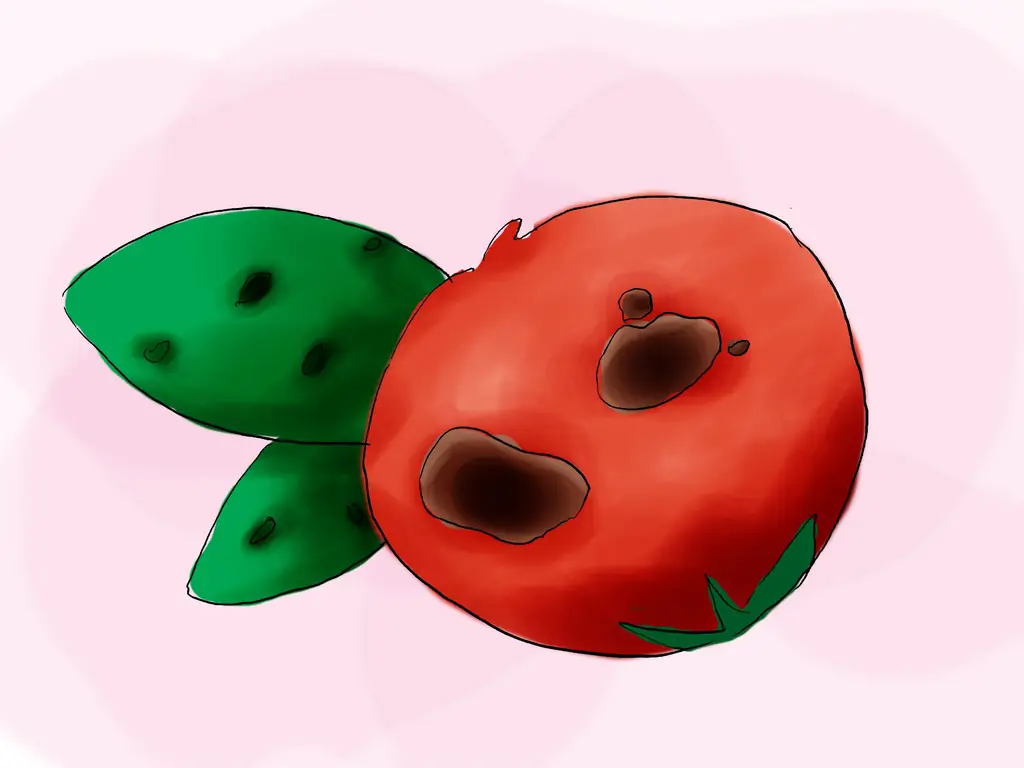 Как посадить пираканту (с иллюстрациями)