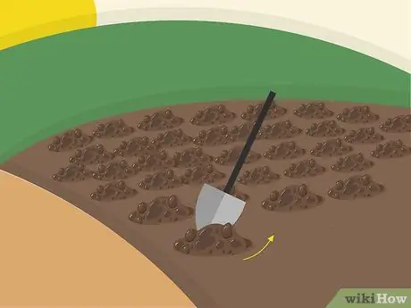 Посадить Napier Grass Step 7